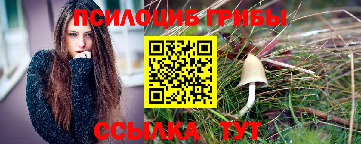 Галлюциногенные грибы мицелий Печора