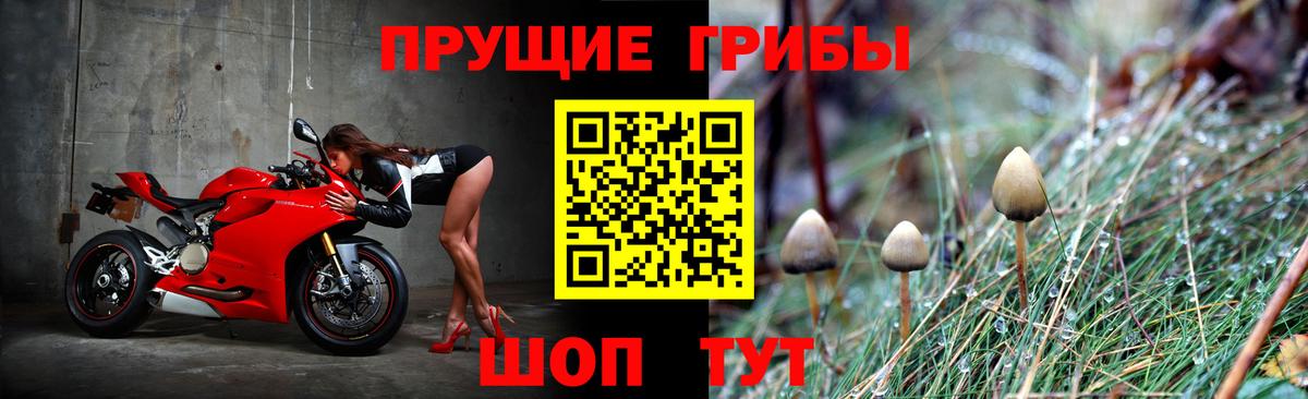 Печора  Галлюциногенные грибы GOLDEN TEACHER  Вход с VPN  Галлюциногенные грибы Psilocybe 